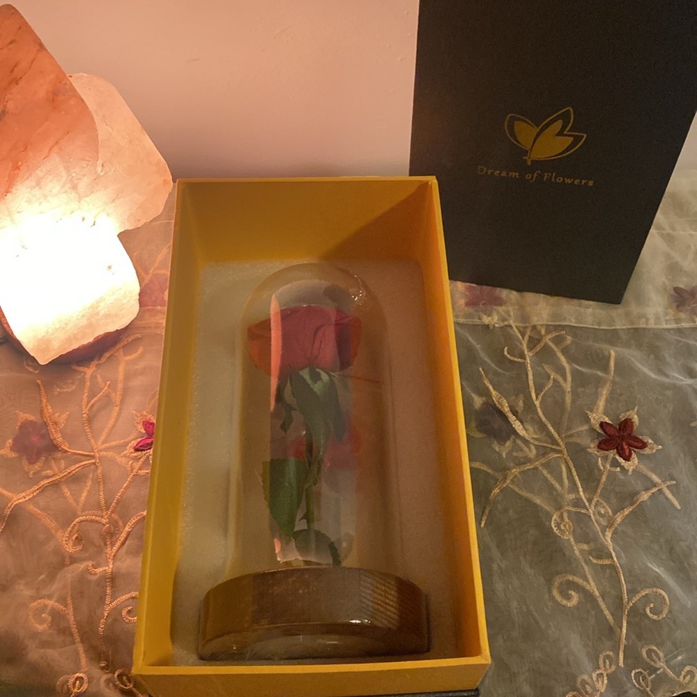 Rose In Glass Dome LED Night Light - Picture 2 of 5